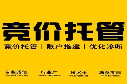 竞价广告的预算分配与优化：XX公司的实战经验
